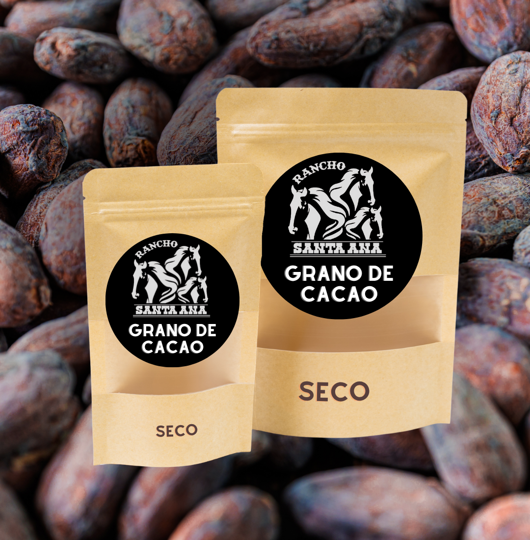 Grano de Cacao Seco