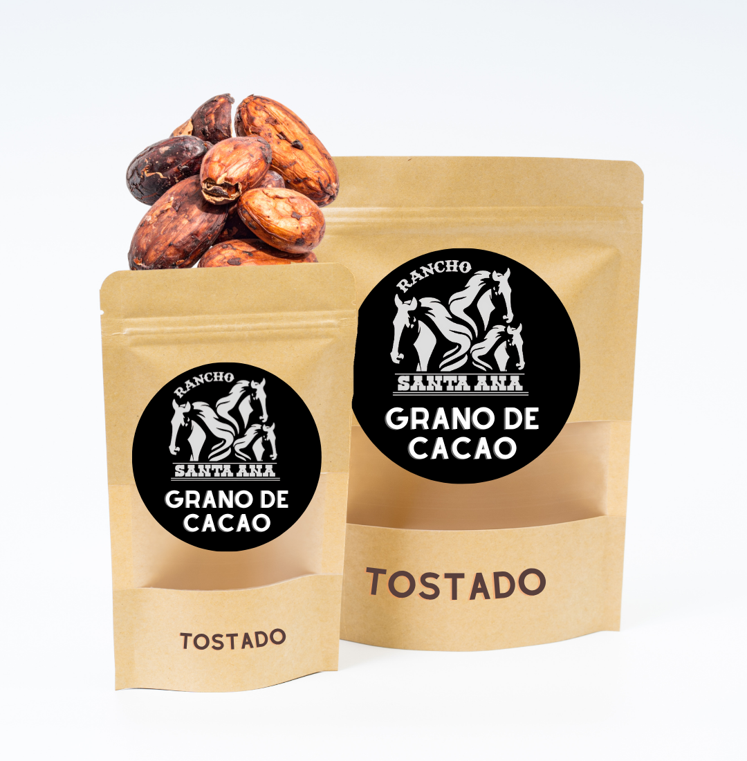Grano de Cacao Tostado